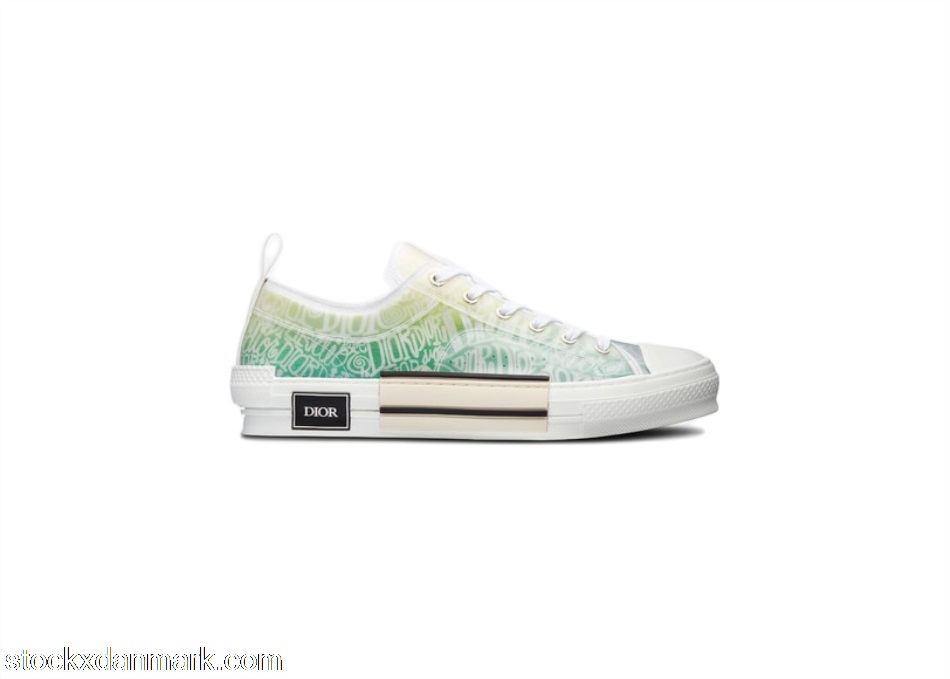 Dior And Shawn B23 Low Top3SN249YYL_H661