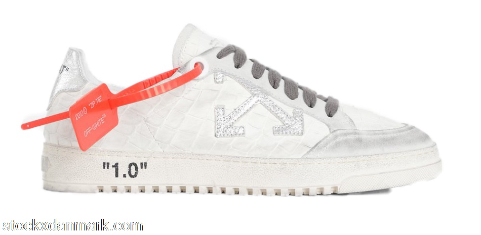 OFF-WHITE 2.0 Low Silver Crocodile FW19OMIA042F19D680370191