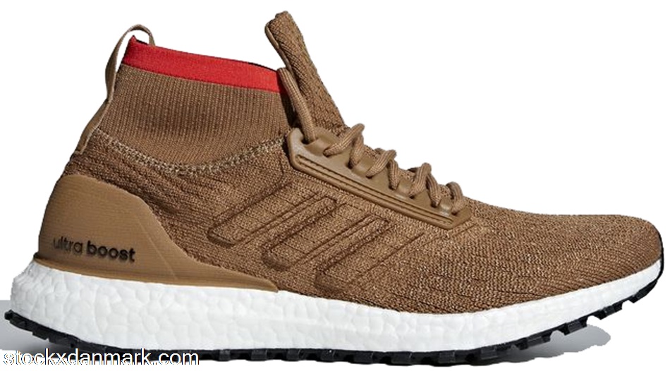 adidas Ultra Boost All Terrain Raw DesertCM8258